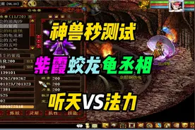 神兽敏法秒还是要用听天，全法加点的话法力也许不错！视频封面