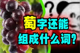 爆笑解说：“萄”字还可以组成什么词？