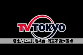 堪比央视六公主的电视台，只要地球不爆炸，它就继续播动画