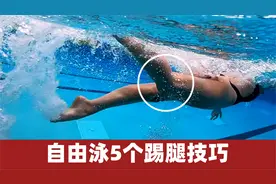 自由泳游不快？可能是这5个踢腿技巧没掌握！