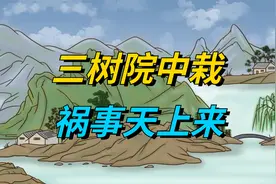 “三树院中栽，祸事天上来”，院子再大，也别栽这三种树视频封面