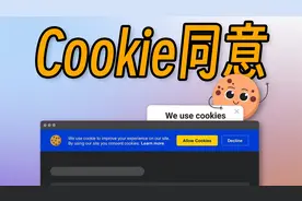 为什么国外的网站总喜欢弹窗Cookie请求？