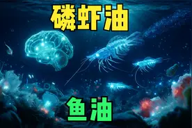 鱼油和磷虾油，区别是什么，哪个更有利于大脑？