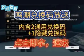 鸣潮兑换码 100抽 1600星声 50浮金波纹快来领取！！！