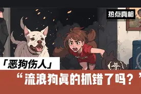 恶狗伤人，流浪狗是不是抓错了？听了这四点真相你再做判断视频封面