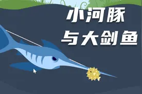小猫钓鱼05：用河豚钓上来一条剑鱼，价值180000！视频封面