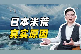 日本米荒，真实原因视频封面