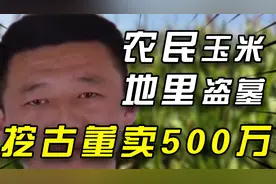 农民在玉米地里盗墓，挖出价值500万古董，事后不忘给玉米地浇水视频封面