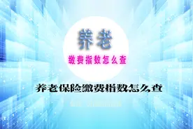养老缴费指数怎么查？一篇视频帮你全了解