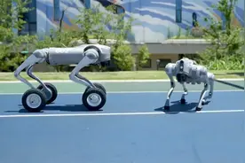 给机器狗加上轮子，实力直接翻倍，轻松挑战各种地形视频封面