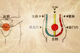 会阴一开，百穴开，激活它帮助我们通周天