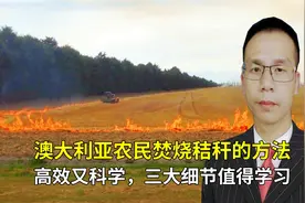 澳大利亚农民焚烧秸秆的方法，高效又科学，三大细节值得学习！视频封面