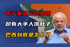 粮食年产量达3亿多吨，却仍有59%的人饿肚子，巴西到底是怎么了？视频封面