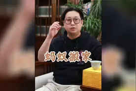 蚂蚁搬家视频封面