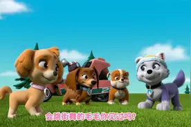 汪汪队立大功：会跳街舞的毛毛你见过吗？视频封面