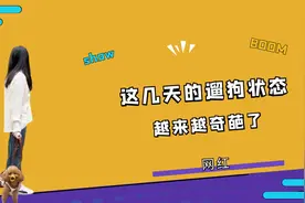 这几天的遛狗状态，直接拖着笼子出门，堪称全网最有素质的铲屎官