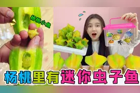 杨桃里长了“绿虫子”？把它挖出来一看，竟然是一只迷你杨桃小鱼视频封面