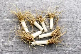 葱根新吃法视频封面