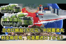 总进口额超1万亿元，中国跟澳大利亚做贸易，究竟都进口了什么？视频封面
