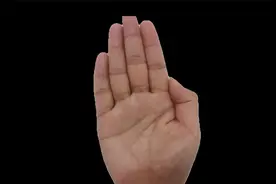 财运线和脑线、生命线形成大三角财库，里面还嵌套了一个元宝财库