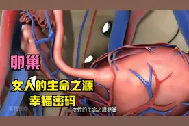 卵巢 || 女人的幸福密码，生命之源视频封面