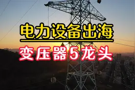 电力设备出海正在风头，盘点变压器出海5家核心上市公司视频封面