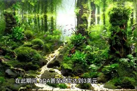 卡尔达诺最近的价格飙升：ADA 的下一步是什么？