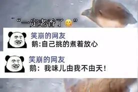 你们台湾女讲话都这么甜吗？ #搞笑 #神评论 #专治不开心视频封面