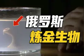 鸡蛋里培育出怪物？俄罗斯炼金术士离奇实验后死于心脏病视频封面