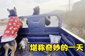 刚救助的小土狗就直接被领养了，这一天过的就像拍电影似的视频封面