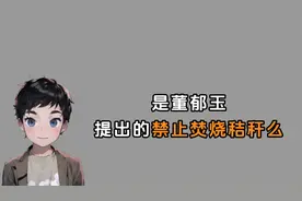 禁止废话：是董郁玉提出的禁止焚烧秸秆么？视频封面