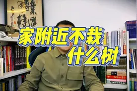 前不栽桑，后不栽柳，是咋回事？院内栽什么树？视频封面