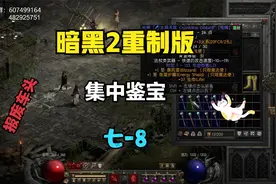 暗黑2重制版 第七赛季 集中鉴宝--8