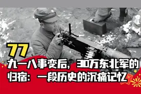 九一八事变后，30万东北军的归宿：一段历史的沉痛记忆视频封面