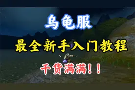 乌龟服：最全的新手入门教程，干货满满，值得你看完~