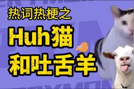 Huh猫和吐舌羊是什么梗？