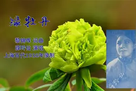 民国时代曲-薛玲仙-绿牡丹-1936年录音