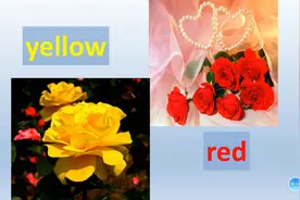 用来表示颜色的单词，有些颜色你认识但叫不出来对吗