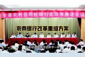 农商银行改革方案重组方案确定视频封面