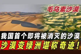 我国治理沙漠的奇迹！毛乌素沙漠变绿洲，茫茫黄沙如今遍地翠绿！视频封面
