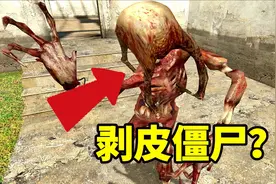 《半条命2》首次登场的恐怖生物，外观骨感的快速猎头蟹僵尸