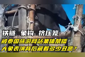 动物表演背后的残酷真相视频封面