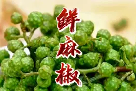 鲜花椒直接冷冻会变色，用这种方法储存，两年不变色不变味，经典视频封面