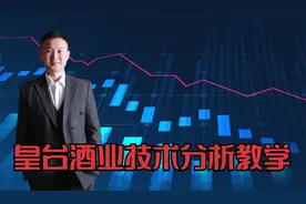 皇台酒业技术分析教学视频封面