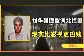 河北黑老大张宝林，《征服》中刘华强的原型，现实比影视凶残百倍视频封面