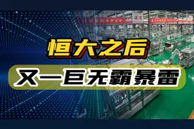 恒大之后又一家全球500强集团暴雷，掌舵人被称为真正的隐形富豪视频封面