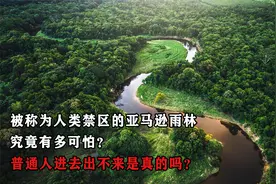 被称为人类禁区的亚马逊雨林，究竟有多可怕？普通人进去出不来？视频封面