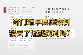 【寻物】奇门遁甲真实案例：猫丢了还能找到吗？视频封面