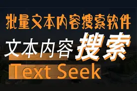 最强文本内容搜索TextSeek 是一款强大的桌面文本内容查找神器视频封面