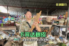 非洲人喜欢的卡宾达树皮,喝了之后到底啥感觉呢?